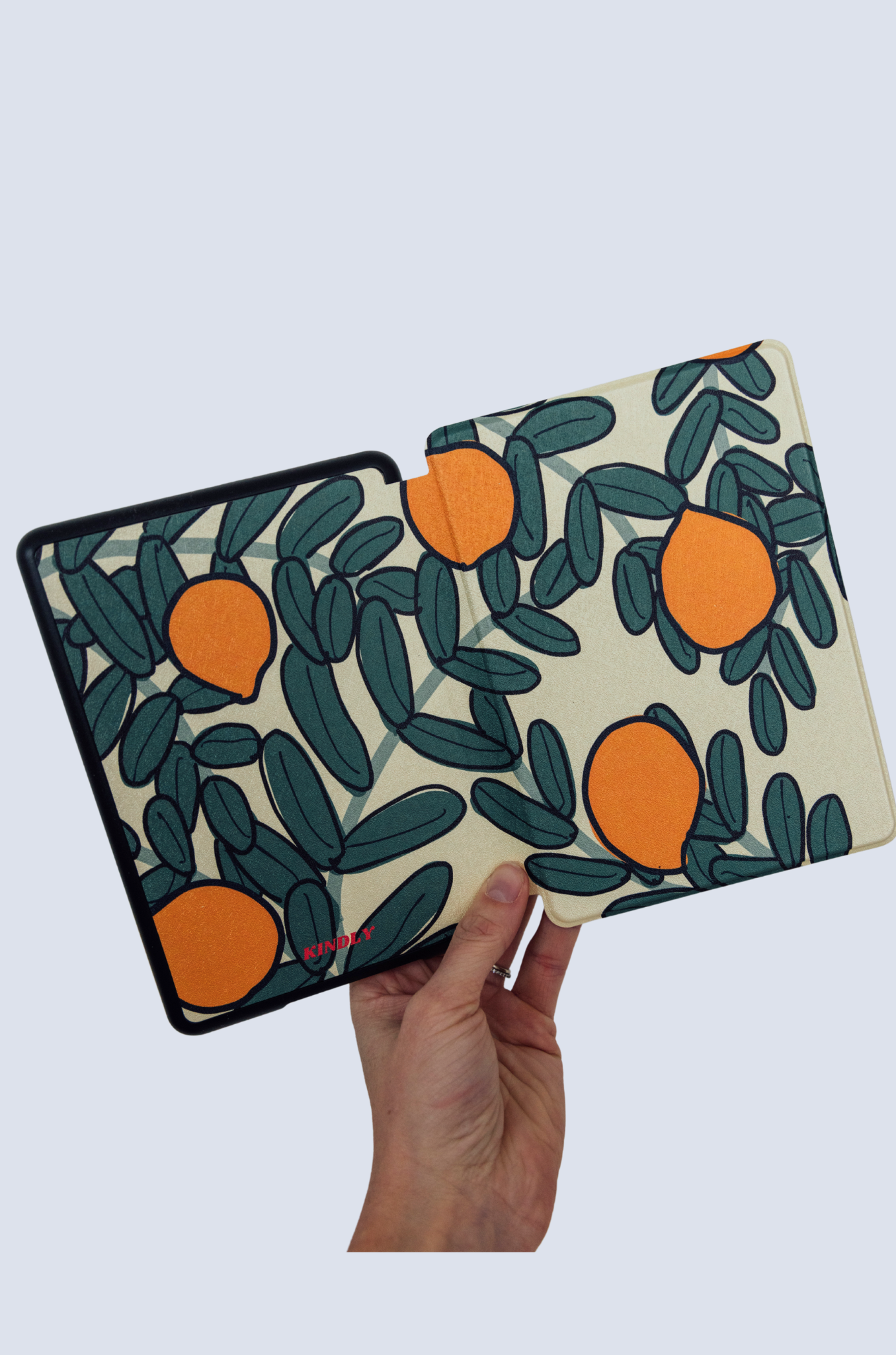 Clementine Kindle Case