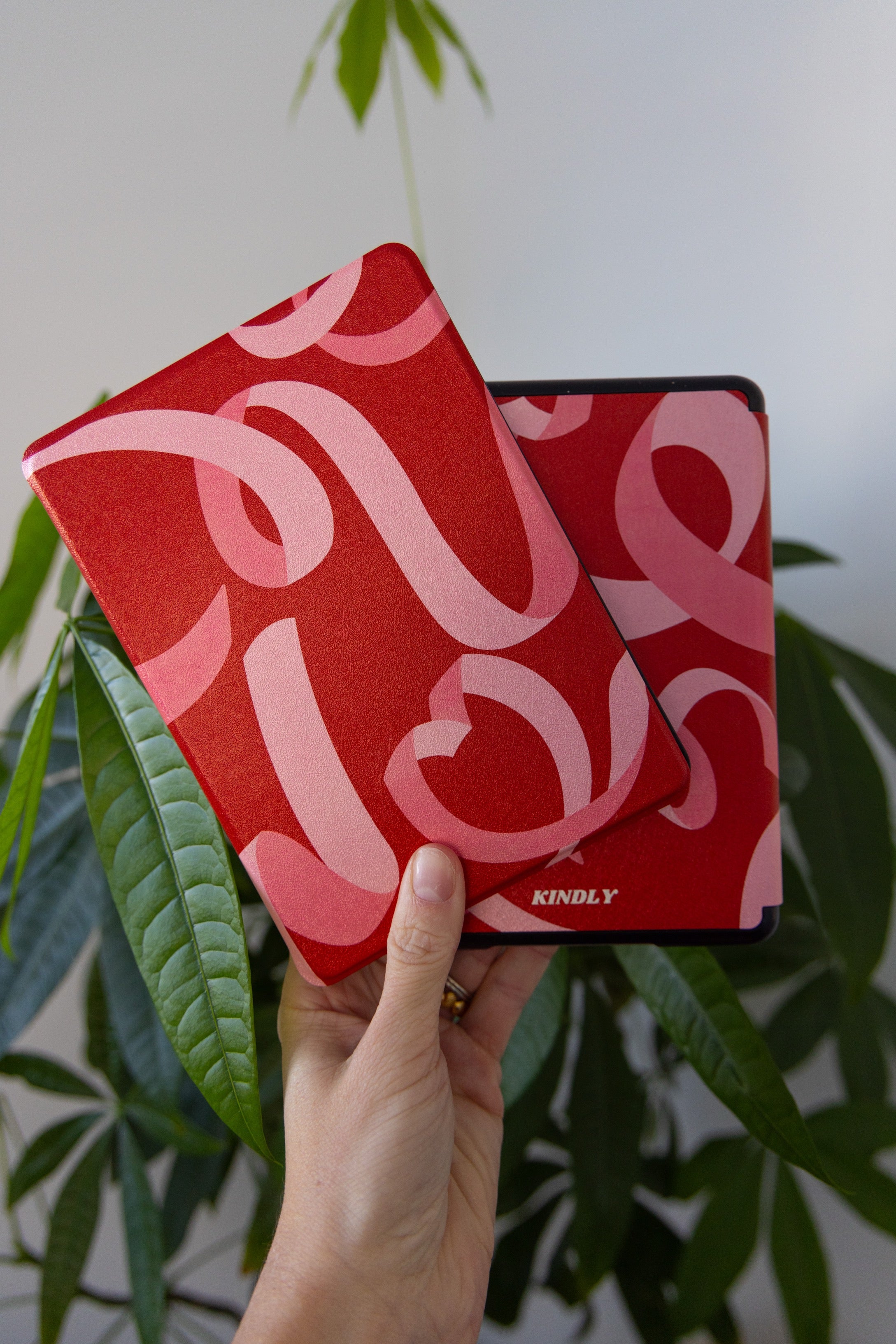 Perfect Package Kindle Case